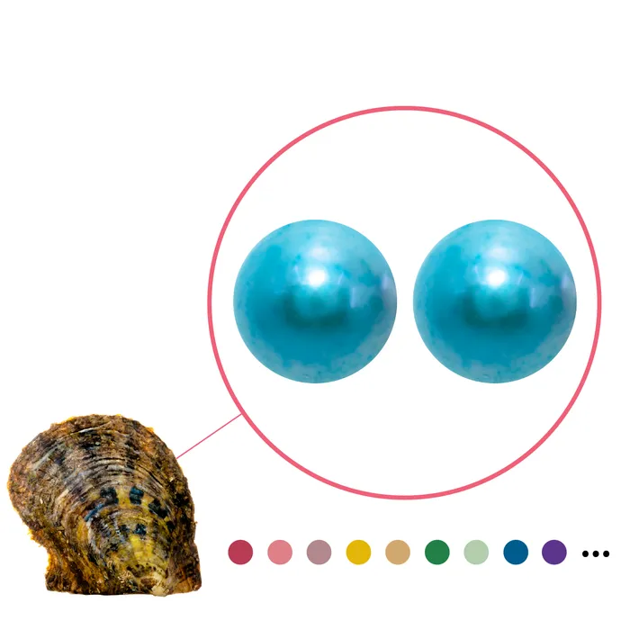 Earrings YAE1 Akoya Oyster Edison Pearl 8mm