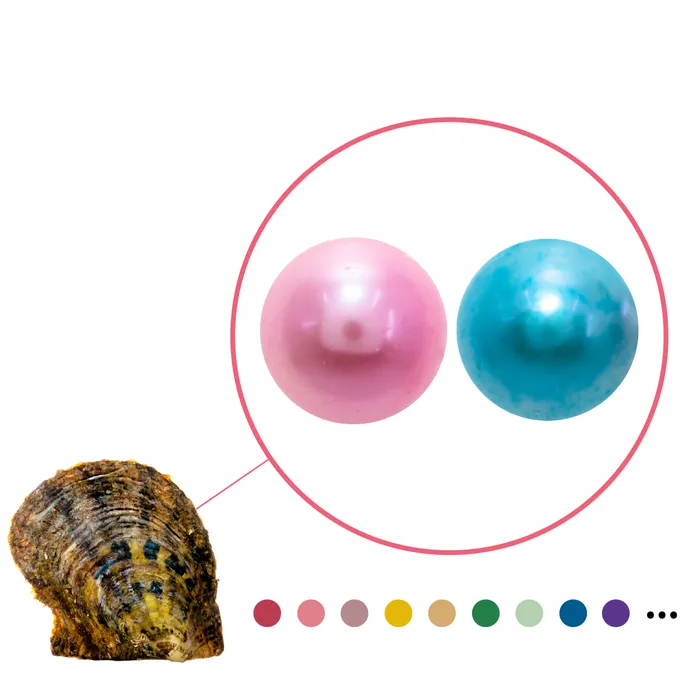 Earrings YAE1 Akoya Oyster Edison Pearl 8mm
