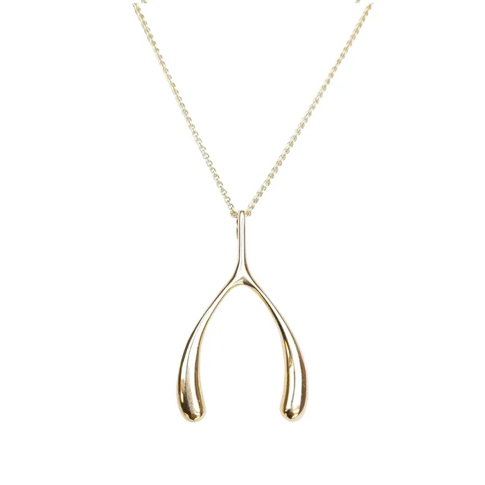 Necklaces Jane Win Lucky Gold Wishbone Pendant