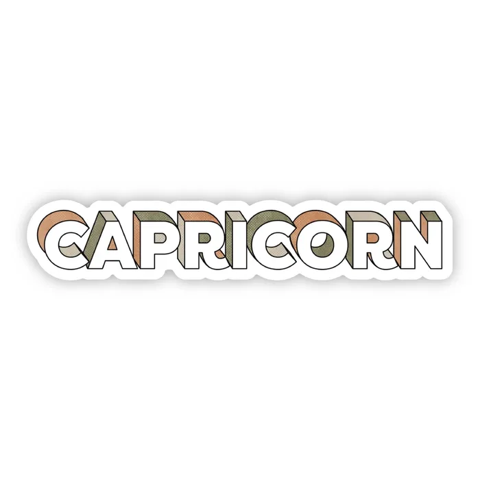 Capricorn Lettering Zodiac Sticker Big Moods Earrings