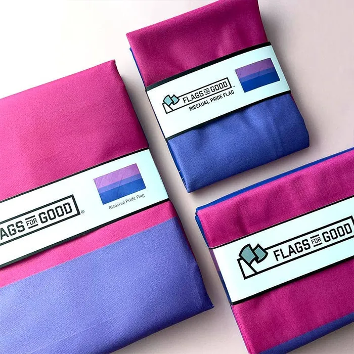 Flags For Good Earrings Bisexual Bi Pride Flag