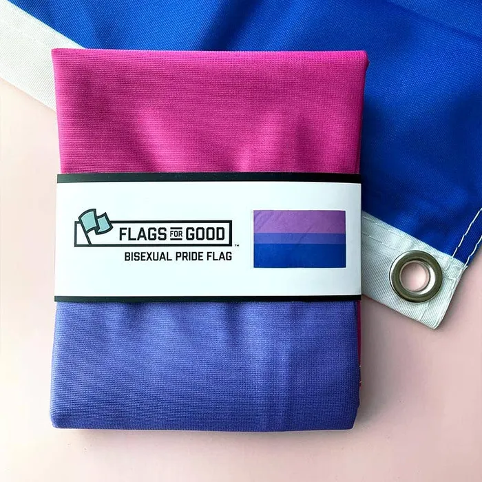 Flags For Good Earrings Bisexual Bi Pride Flag