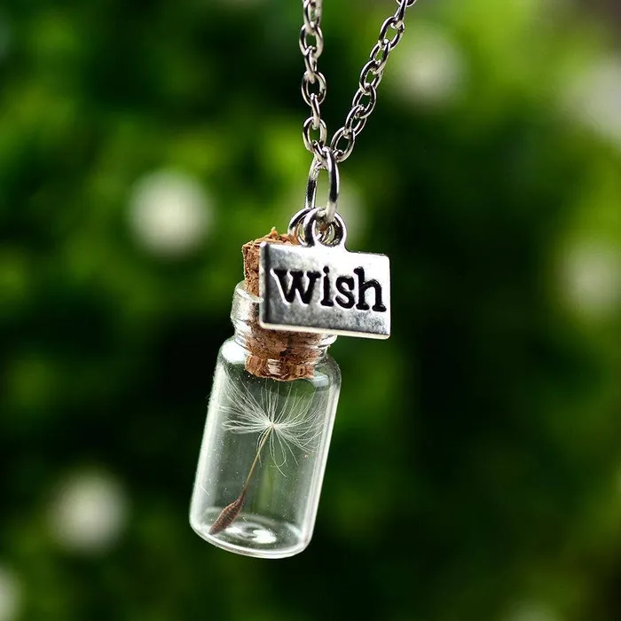 Necklaces attractshe Drift Bottle Dandelion Seed Pendant Necklace