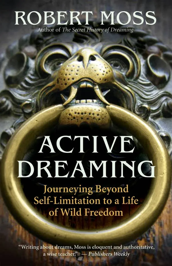 New World Library Earrings Active Dreaming