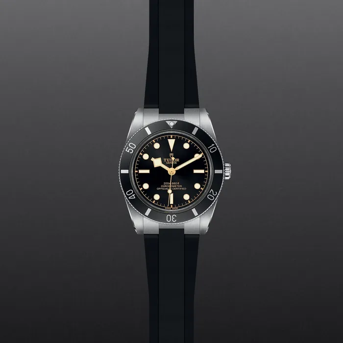 TUDOR Black Bay 54 Rings