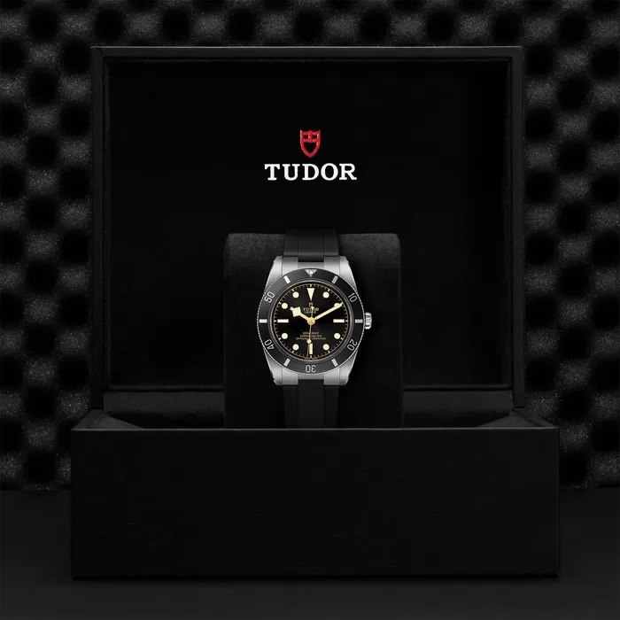 TUDOR Black Bay 54 Rings