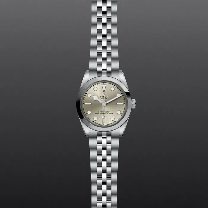 TUDOR Rings Black Bay 31