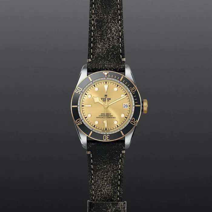 TUDOR Rings Black Bay SG