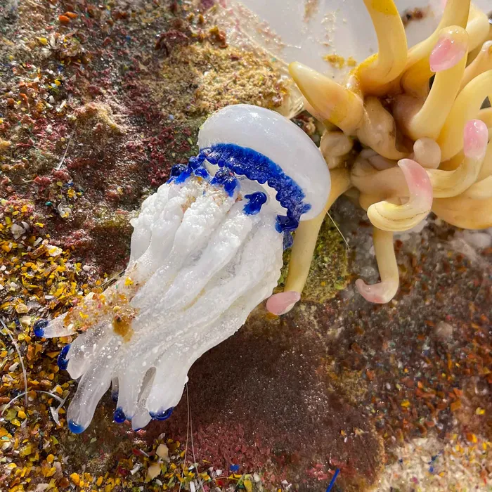 Vianello Mauro Our ocean Save the Sea 2 Earrings